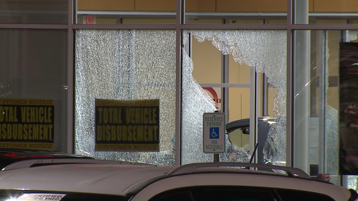 Bounty hunters, fugitive killed in car dealership shootout