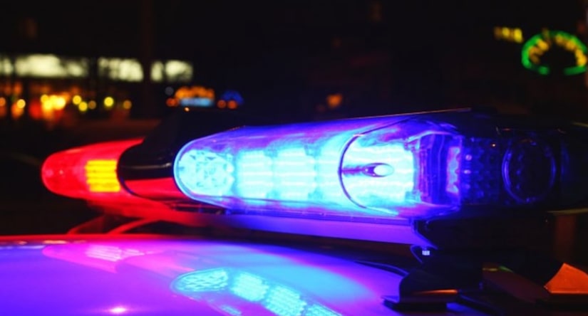 Indiana man arrested on drug charges after allegedly dancing in middle of road while holding meth and a rare turtle
